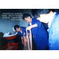 肝素鈉加工項目——助力農村創(chuàng)業(yè)的投資良機